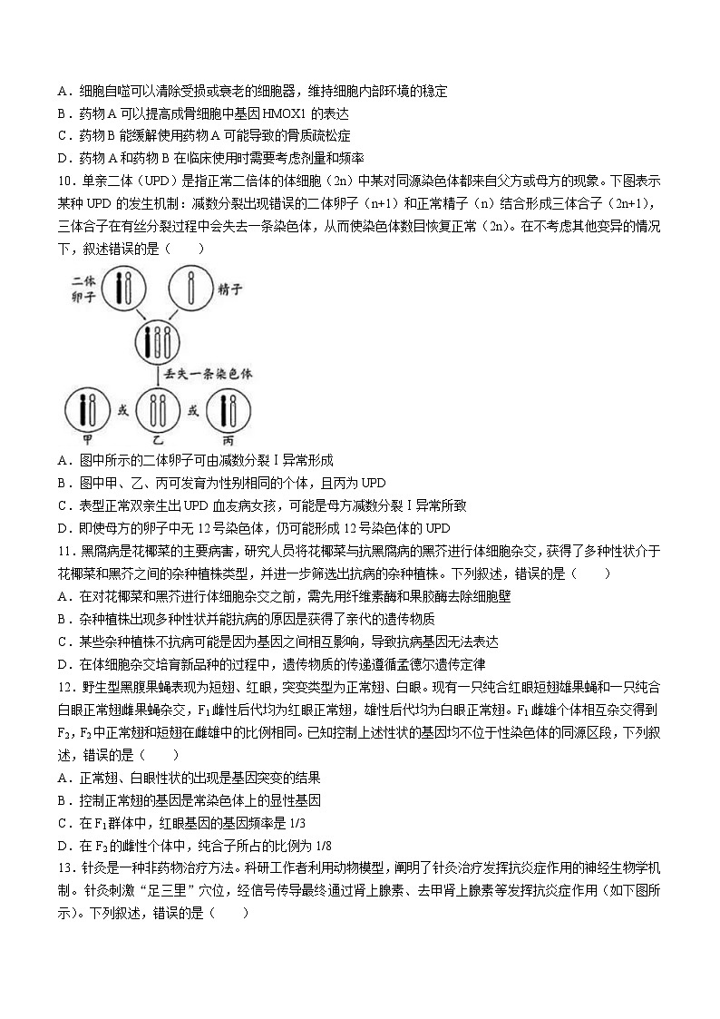 广东省广州市2024届高三下学期二模生物试题第3页