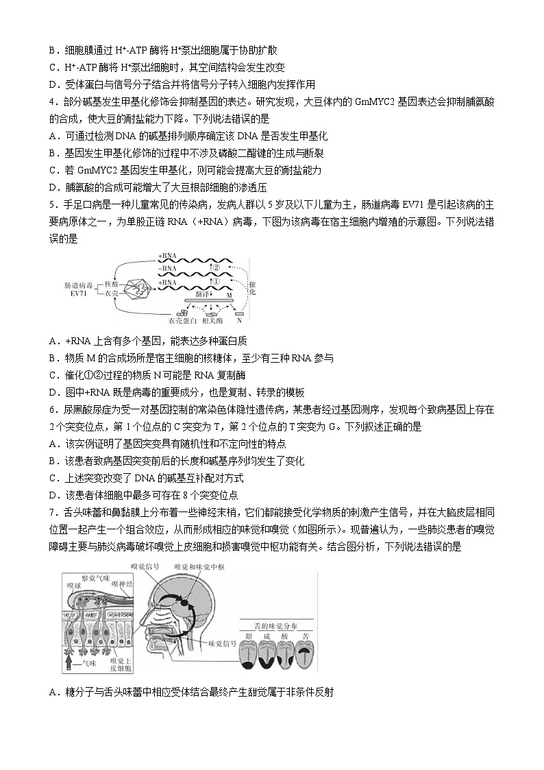 湖北省十堰市2023-2024学年高三下学期4月调研考试生物试卷第2页