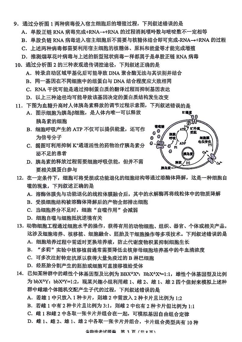 浙江省稽阳联谊学校2024届高三下学期4月联考二模生物试题+03