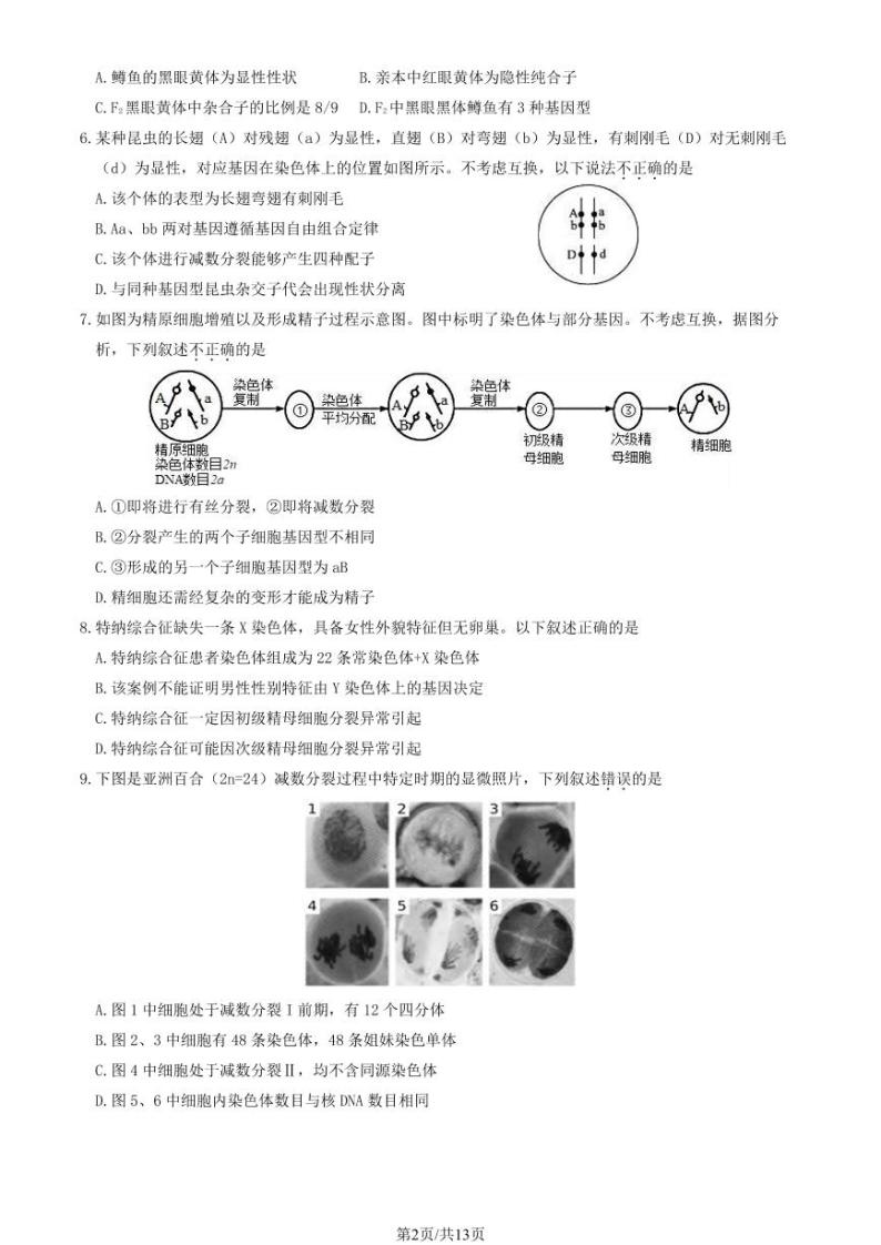 2024北京丰台高一（下）期中生物（A卷）试题及答案02