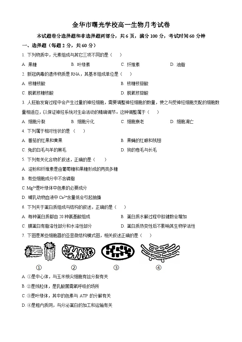 2024金华曙光学校高一下学期4月期中考试生物含解析