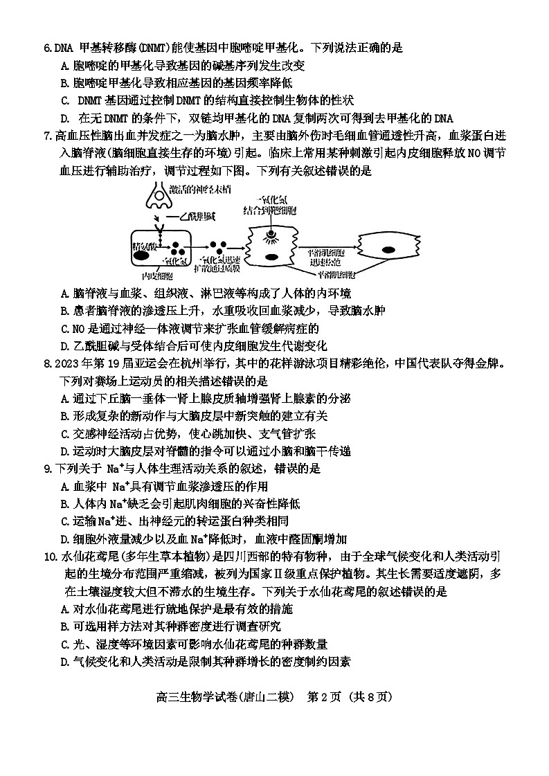 2024届唐山市普通高中学业水平选择性考试第二次模拟演练(二模)生物学试题02