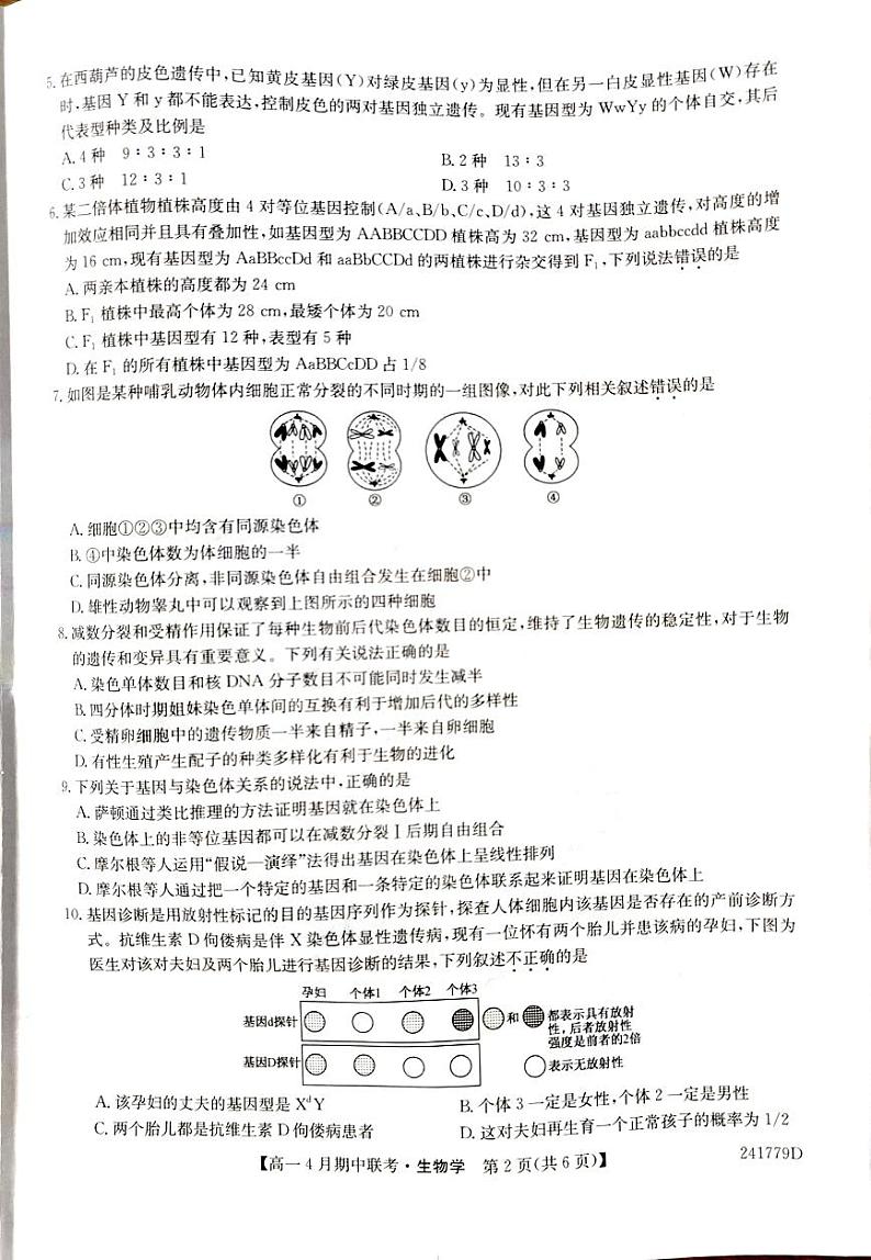 河北省保定市六校联考2023-2024学年高一下学期期中生物试题第2页