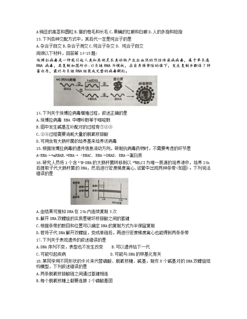 浙江省七彩阳光新高考研究联盟2023-2024学年高一下学期期中联考生物试题03