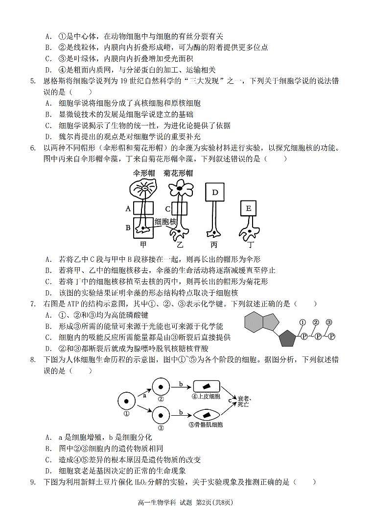 浙江省山海协作体2023-2024学年高一下学期4月期中生物试题02