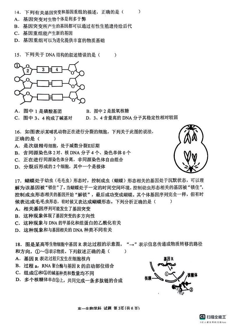 浙江省台州市十校联盟2023-2024学年高一下学期期中联考生物试题03