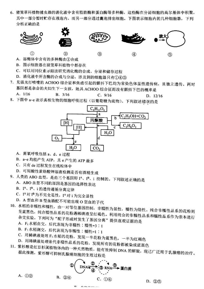 浙江省浙江省9+1高中联盟2023-2024学年高一下学期4月期中生物试题02