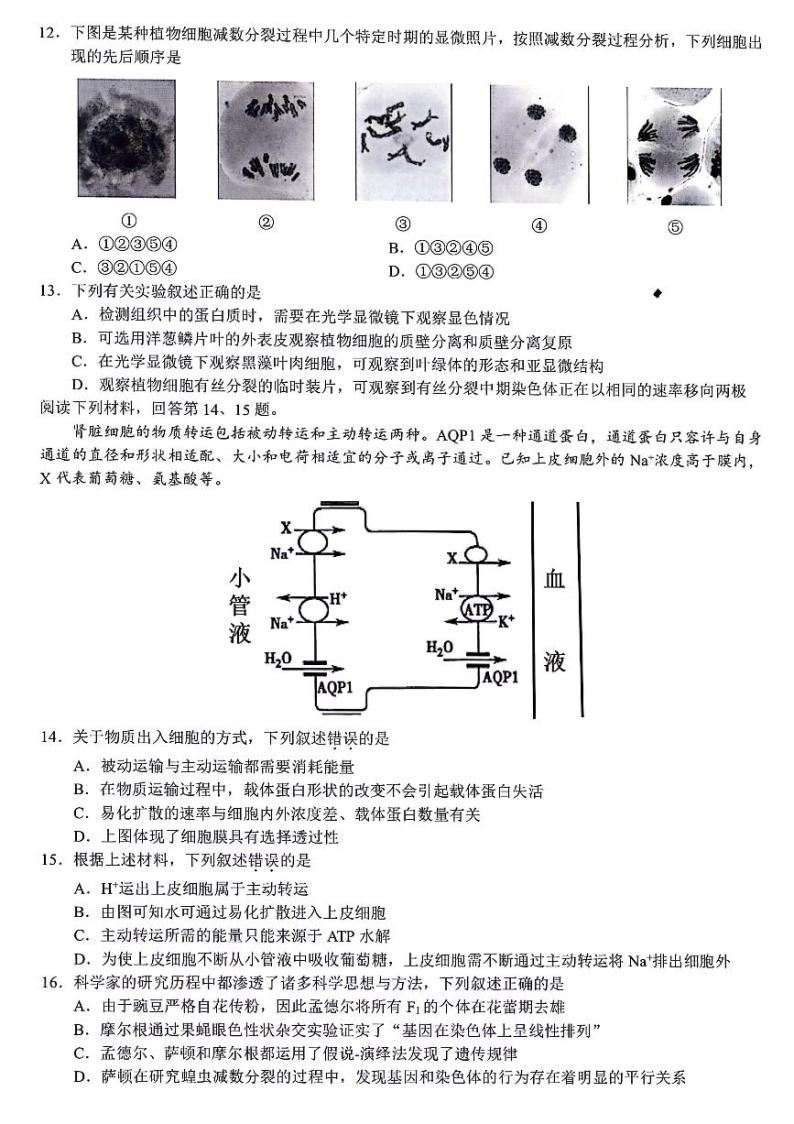 浙江省浙江省9+1高中联盟2023-2024学年高一下学期4月期中生物试题03