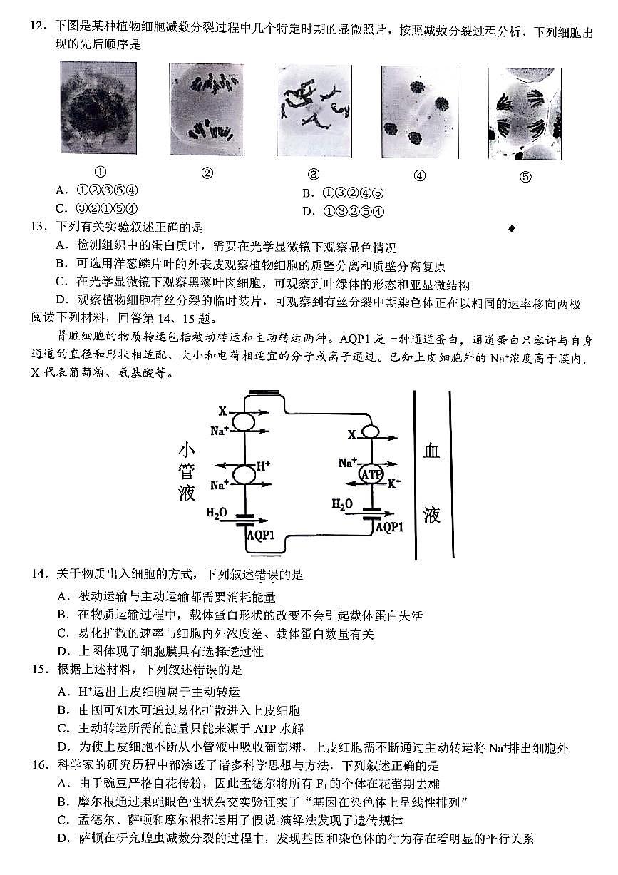 浙江省浙江省9+1高中聯(lián)盟2023-2024學(xué)年高一下學(xué)期4月期中生物試題第3頁(yè)