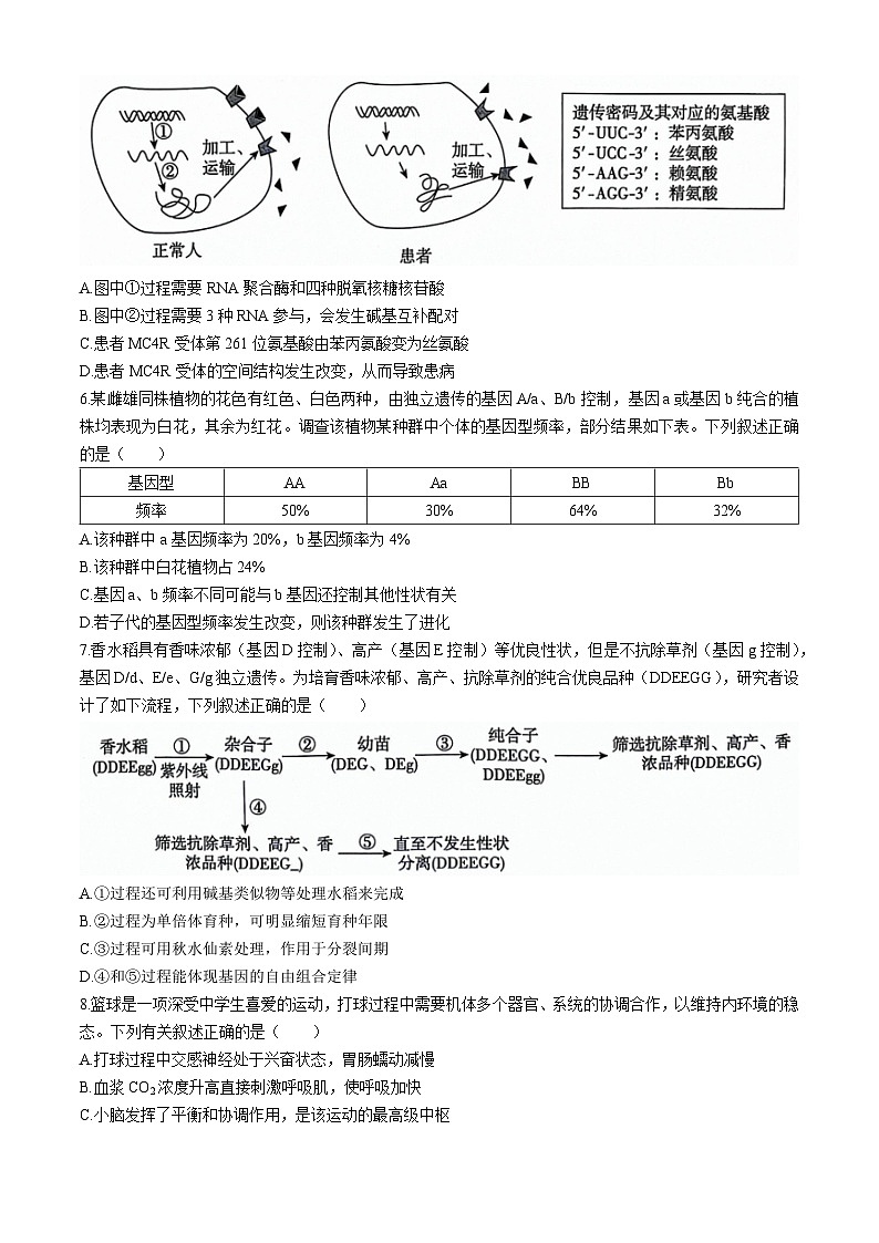 河北省沧衡名校联盟2023-2024学年高三下学期模拟考试(期中)生物试题+答案02