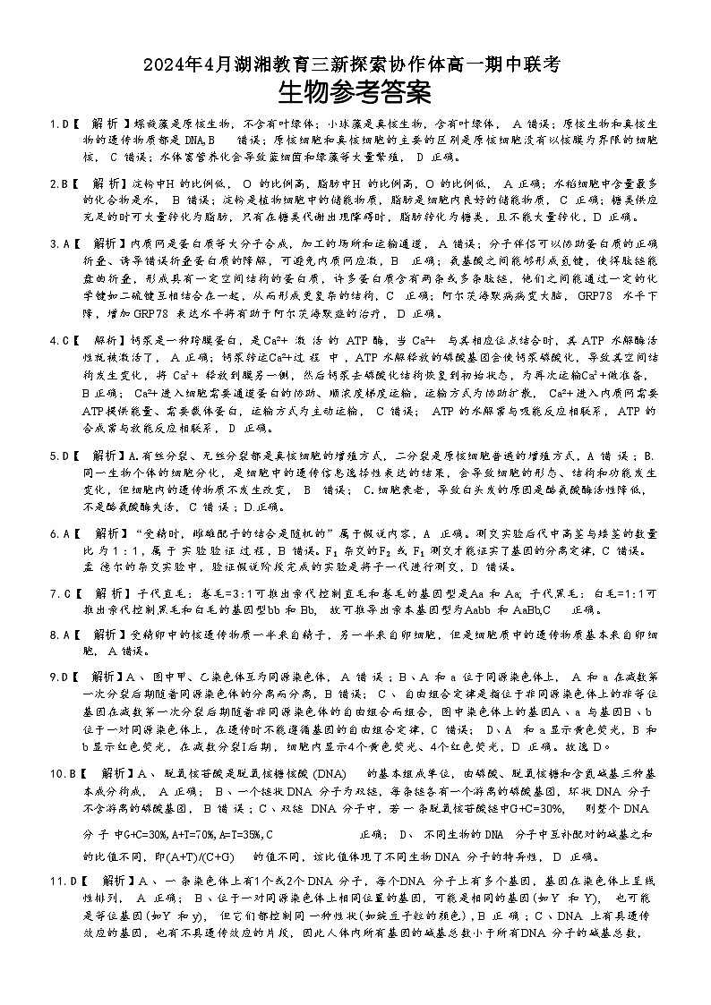 湖南省湖湘教育三新探索协作体2023-2024学年高一下学期4月期中生物试题01