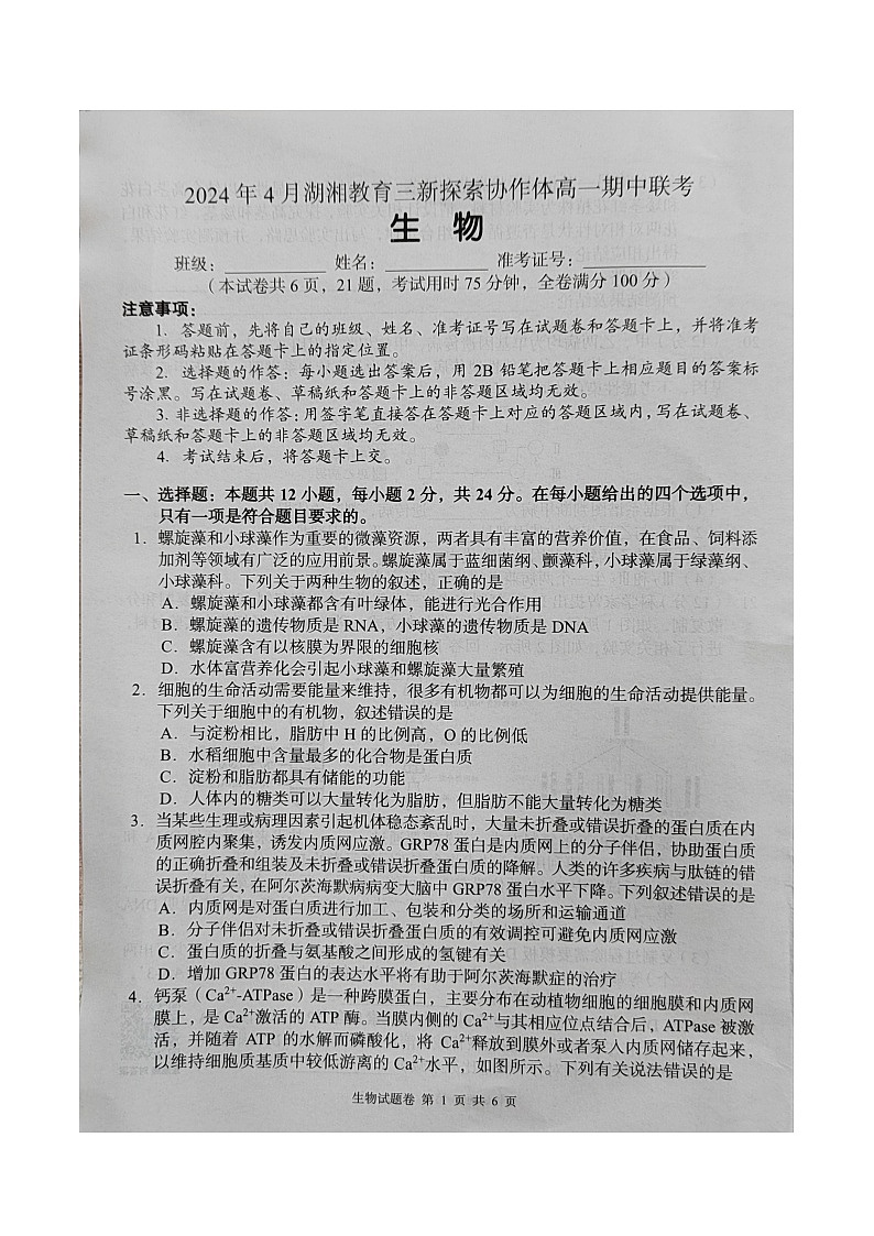 湖南省湖湘教育三新探索协作体2023-2024学年高一下学期4月期中生物试题01