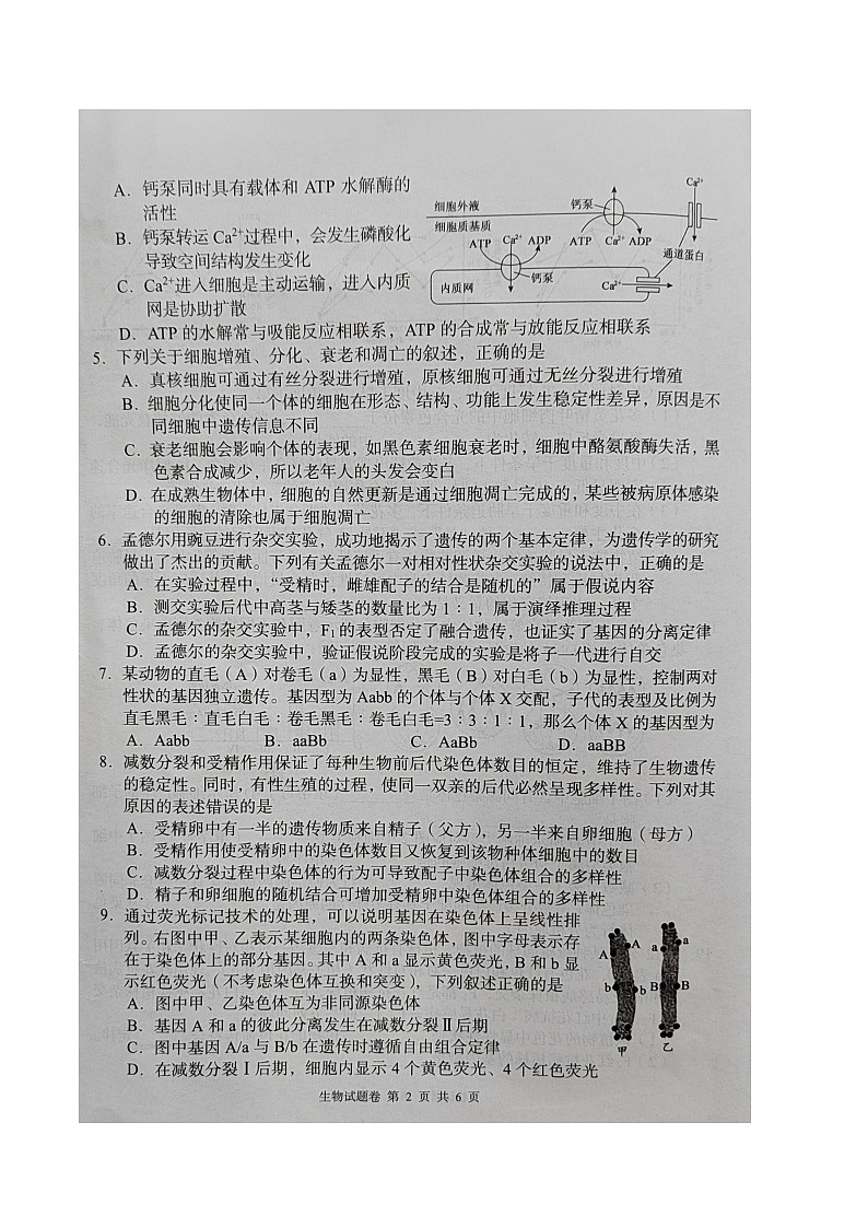 湖南省湖湘教育三新探索协作体2023-2024学年高一下学期4月期中生物试题02
