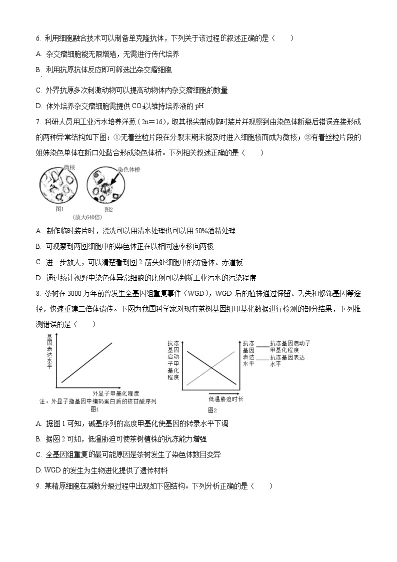 2024宁波高三下学期二模生物试题含解析02