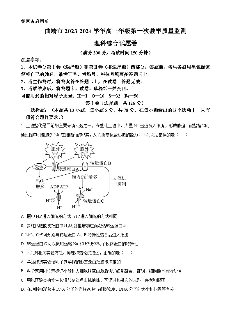 2024曲靖高三上学期第一次教学质量监测(一模)生物试题含解析01