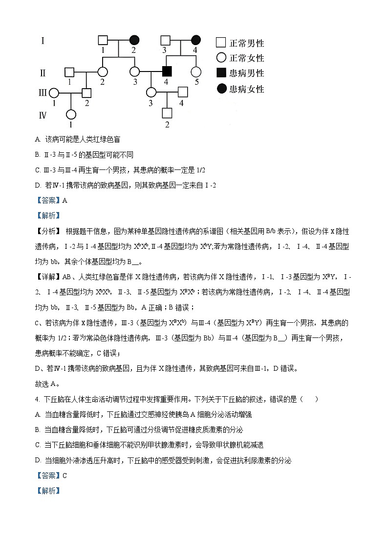 2024云南广西贵州省高三下学期“3+3+3”高考备考诊断性联考(二)生物试题含解析03