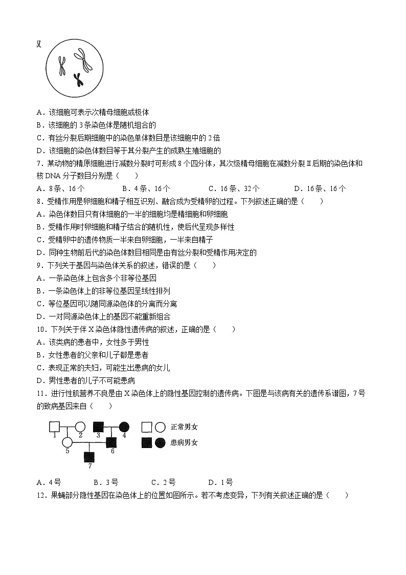 江西省部分学校2023-2024学年高一下学期4月期中生物试题(Word版附答案)02
