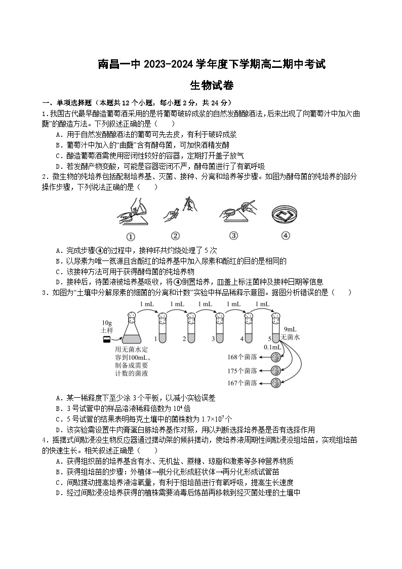 江西省南昌市第一中学2023-2024学年高二下学期4月期中生物试题（Word版附答案）01