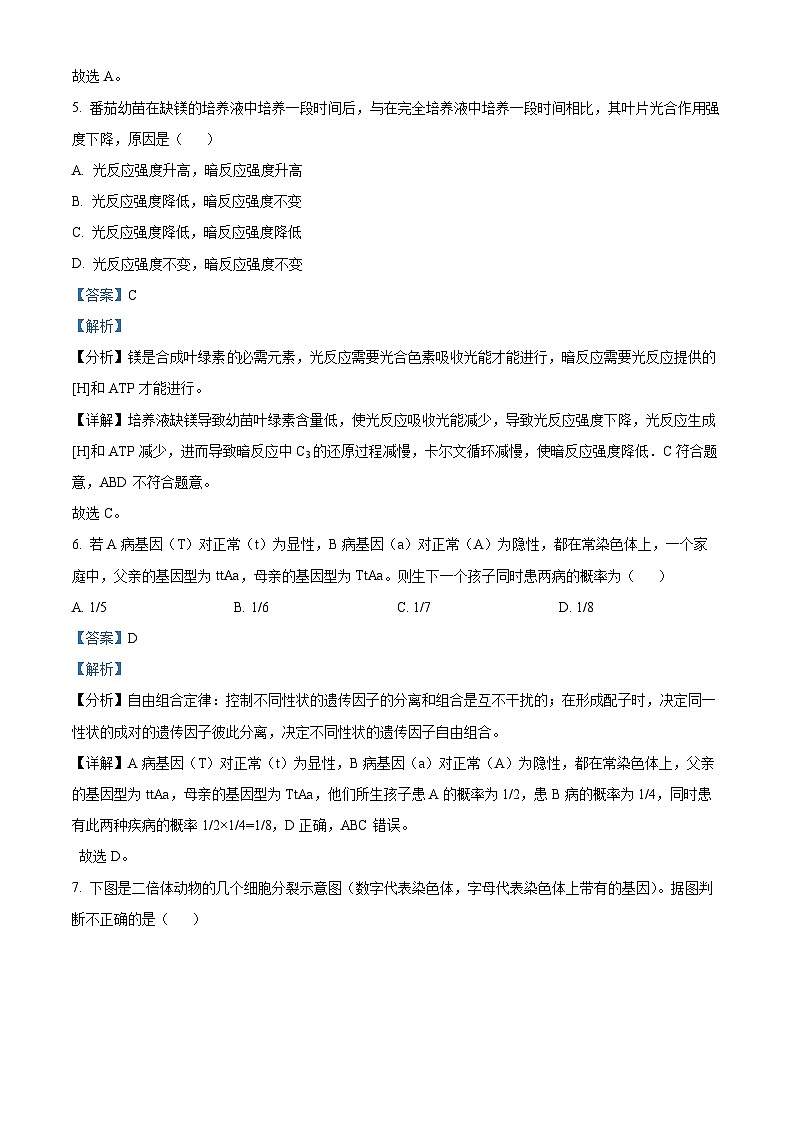 湖南省邵阳县第二高级中学2023-2024学年高二下学期期中考试生物试题(原卷版+解析版)03