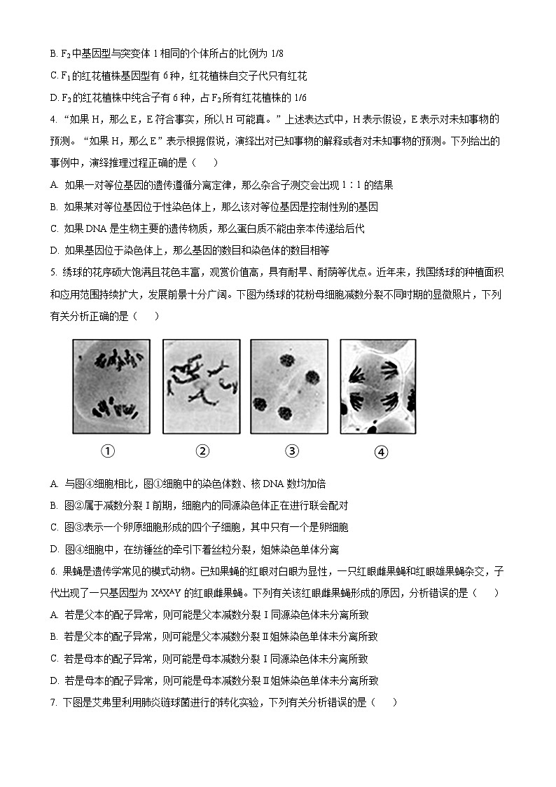 安徽省卓越县中联盟&皖豫名校联盟2023-2024学年高一下学期期中联考生物试卷(Word版附解析)02