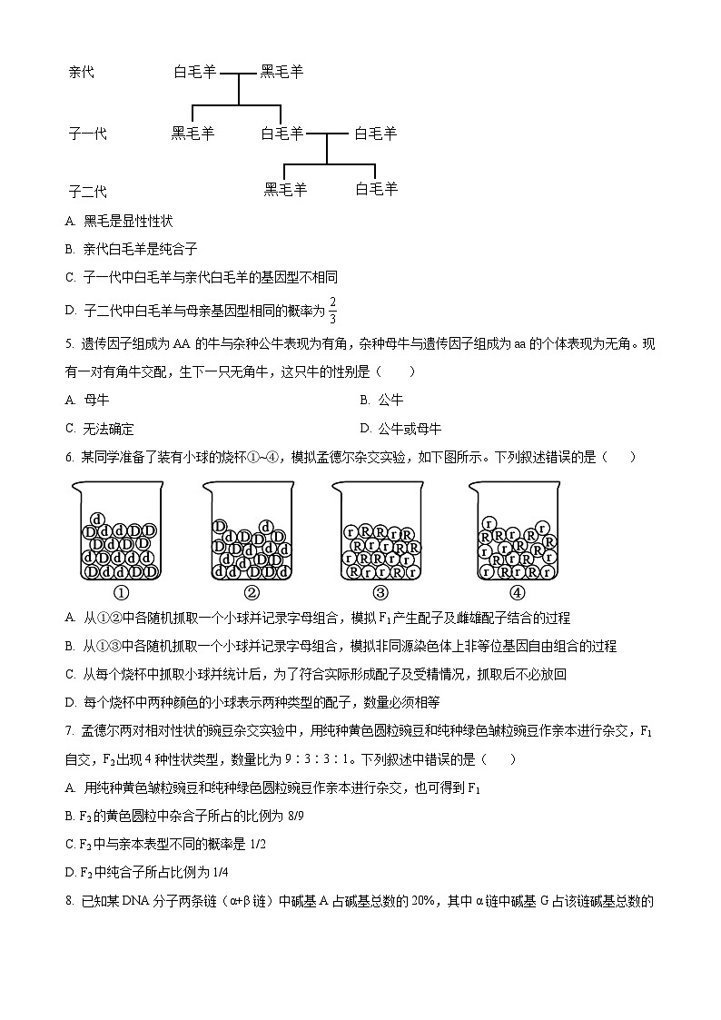浙江省嘉兴市八校联盟2023-2024学年高一下学期4月期中考试生物试题 Word版无答案第2页
