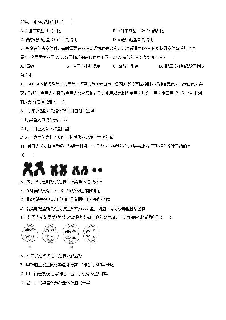 浙江省嘉兴市八校联盟2023-2024学年高一下学期4月期中考试生物试题 Word版无答案第3页