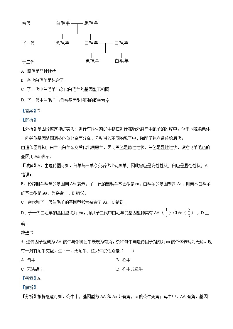 浙江省嘉兴市八校联盟2023-2024学年高一下学期4月期中考试生物试题 Word版含解析第3页