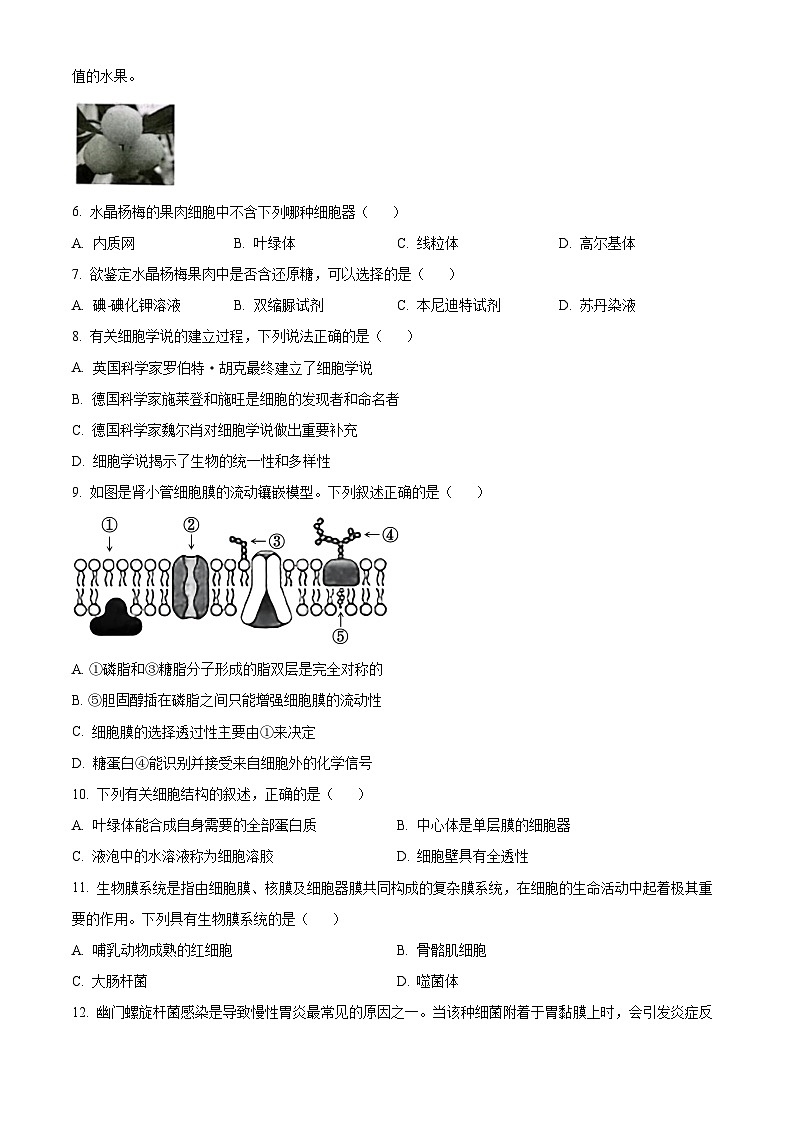 浙江省绍兴市第一中学2023-2024学年高一下学期期中生物试卷(Word版附解析)02