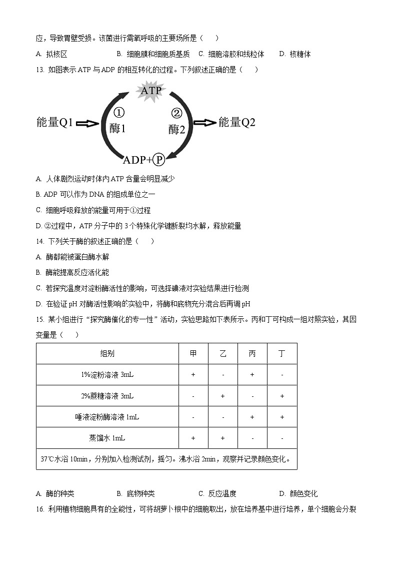 浙江省绍兴市第一中学2023-2024学年高一下学期期中生物试卷(Word版附解析)03