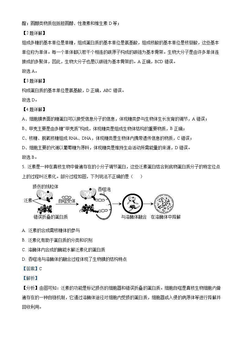 浙江省绍兴市第一中学2023-2024学年高一下学期期中生物试卷(Word版附解析)02