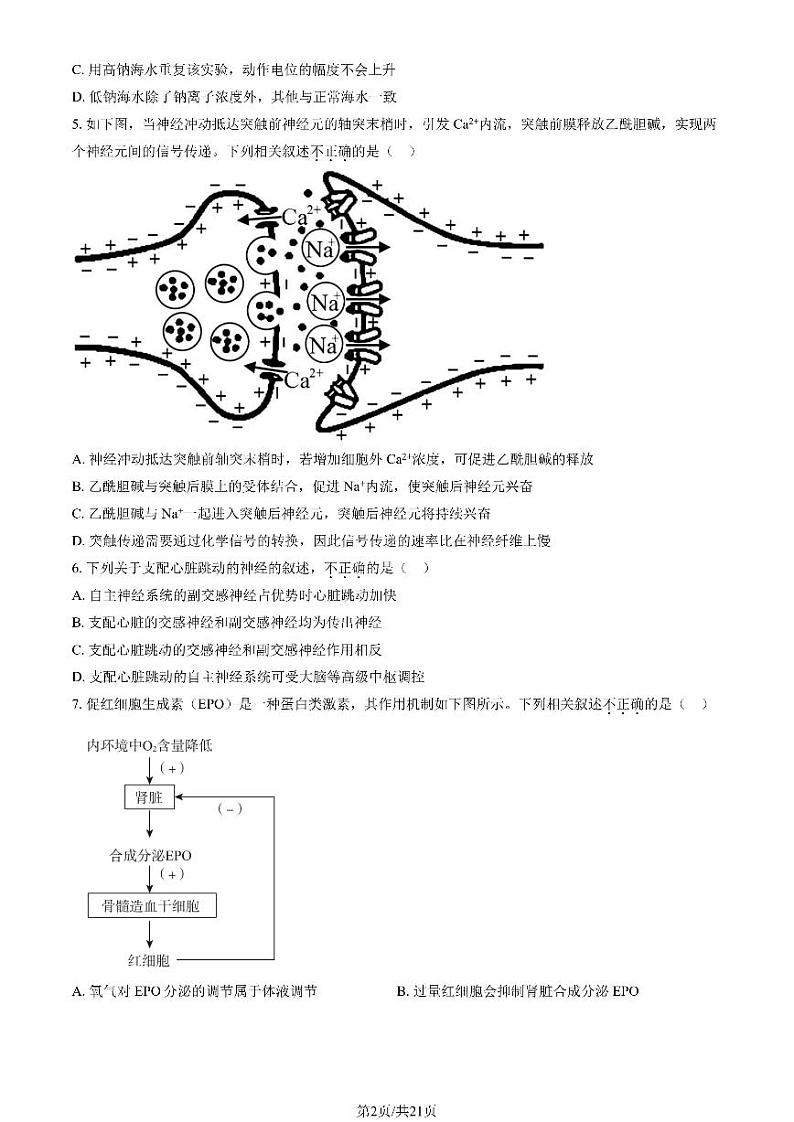 2023 北京四中高二上学期期中生物试卷第2页
