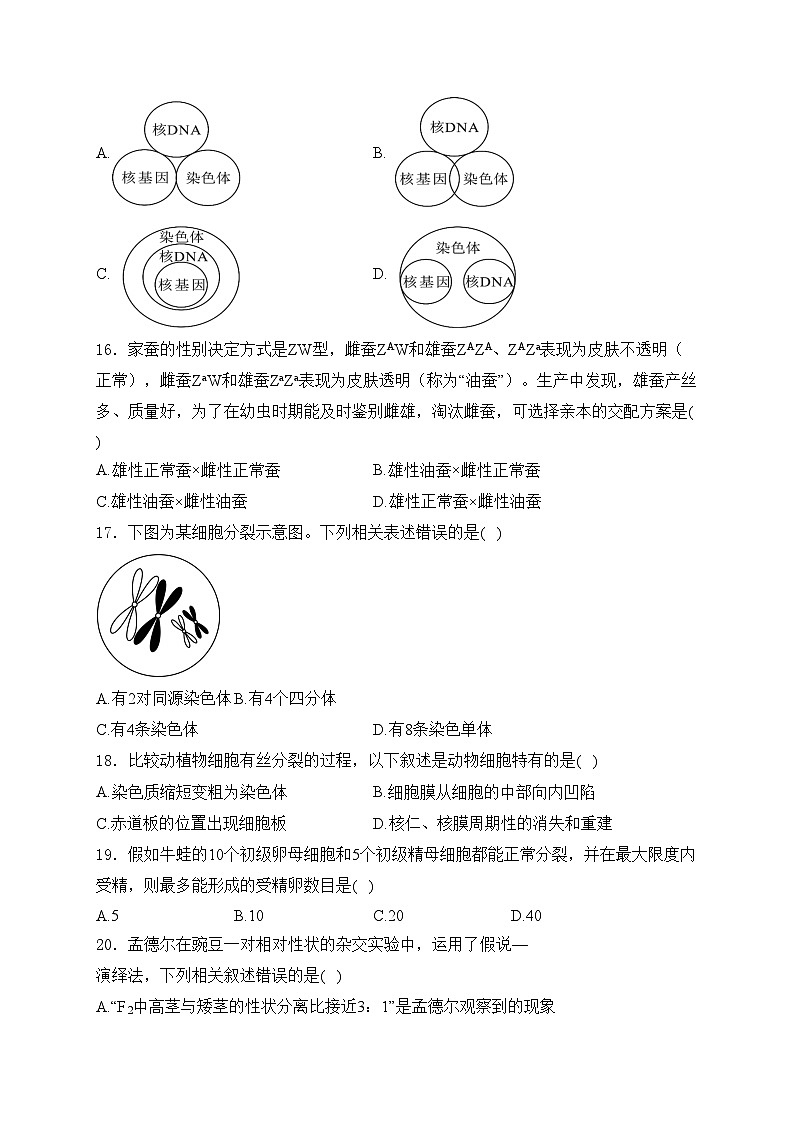 广西柳州市第三中学2023-2024学年高一下学期3月月考生物试卷(含答案)03