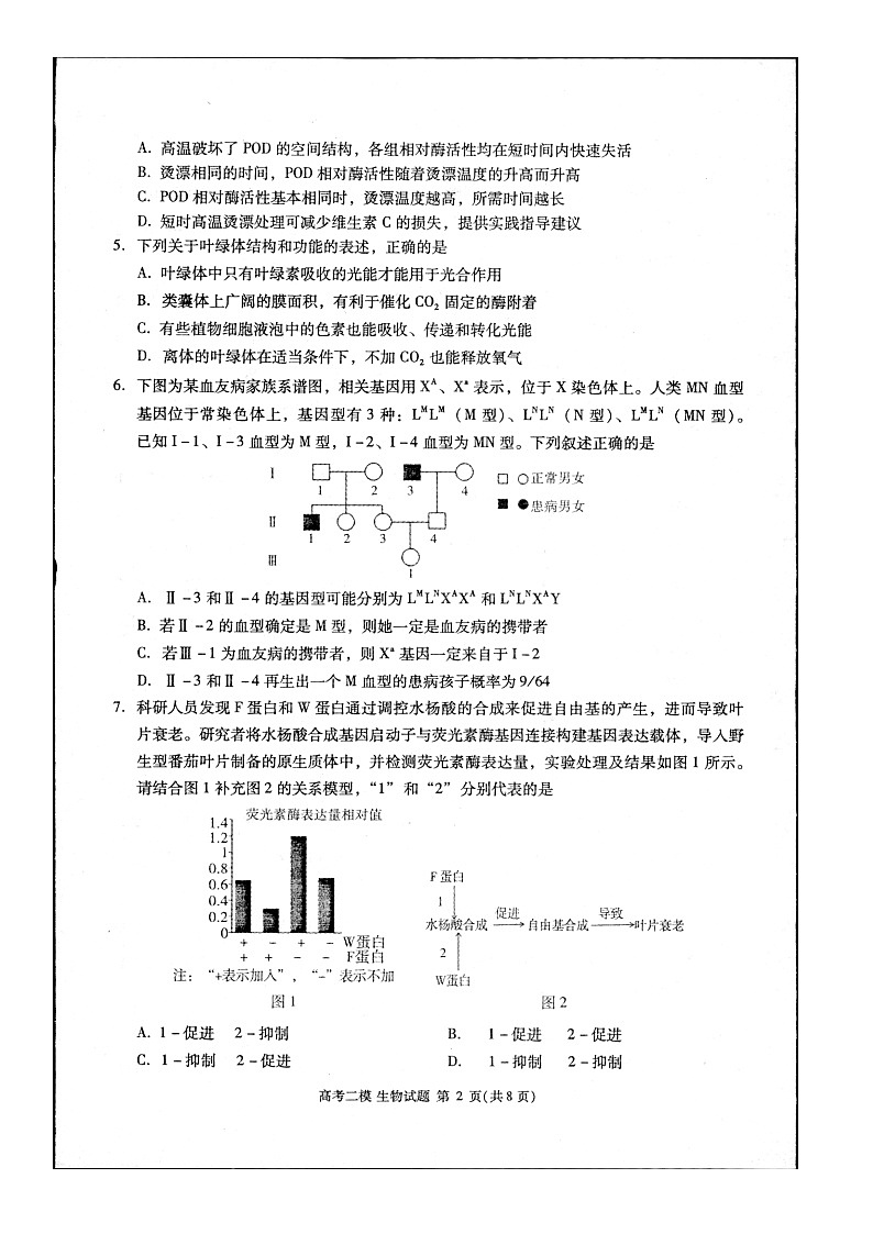 2024届江西省九江市高三下学期高考第二次模拟考试生物试题第2页