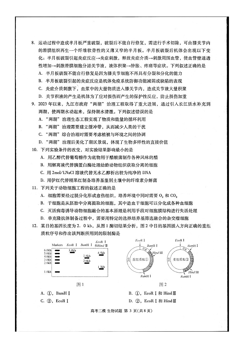 2024届江西省九江市高三下学期高考第二次模拟考试生物试题第3页