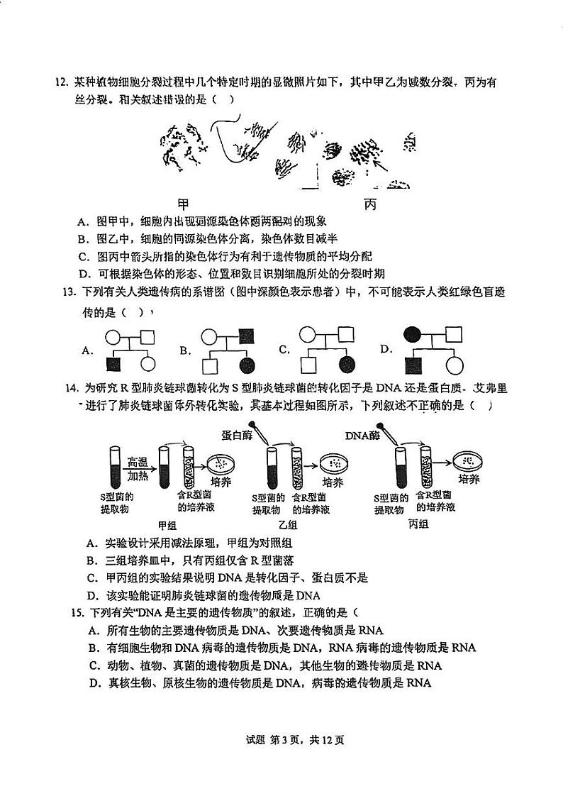 2024北京人大附中高一下学期期中生物 试卷03