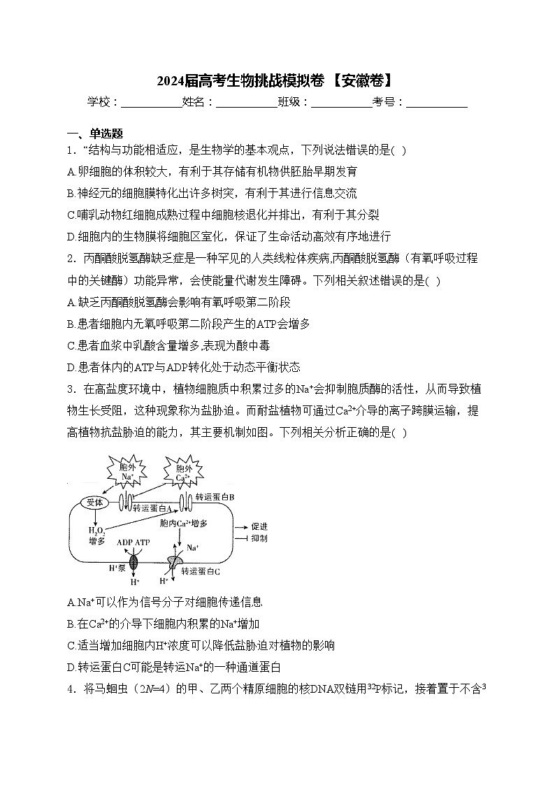 2024届高考生物挑战模拟卷 【安徽卷】(含答案)第1页