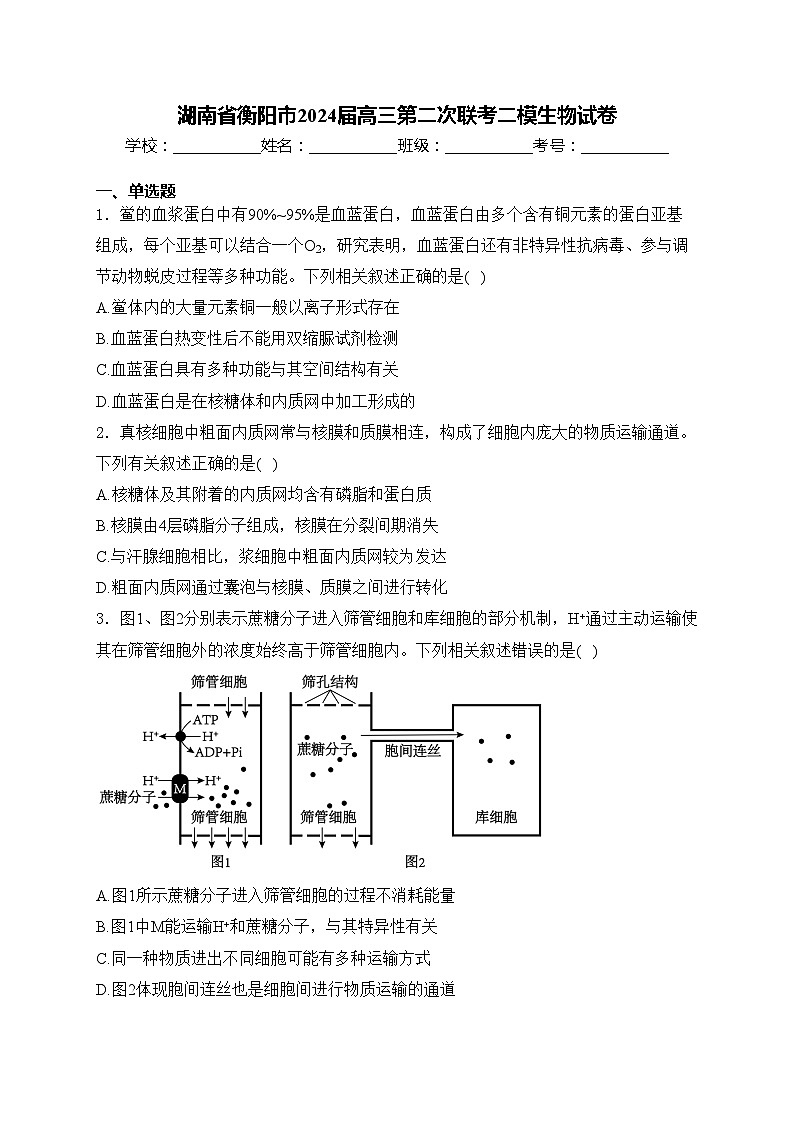 湖南省衡阳市2024届高三第二次联考二模生物试卷(含答案)01