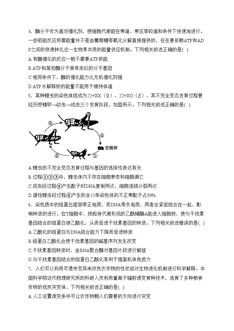 湖南省衡阳市2024届高三第二次联考二模生物试卷(含答案)02