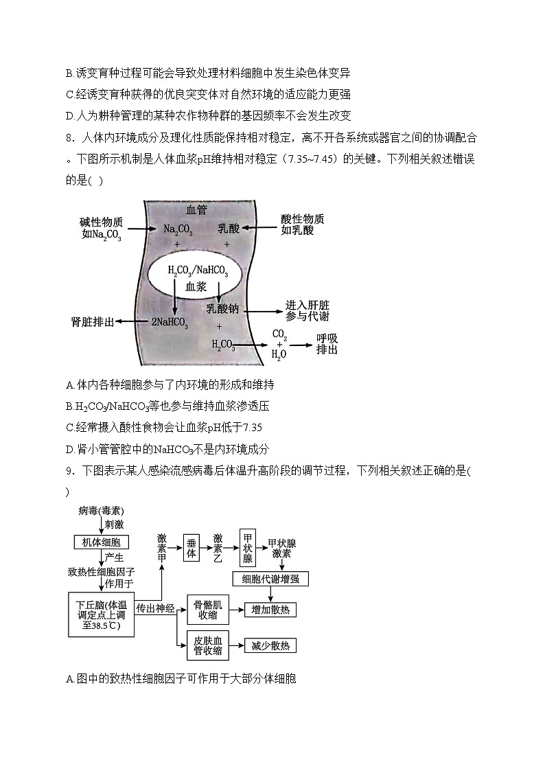 湖南省衡阳市2024届高三第二次联考二模生物试卷(含答案)03