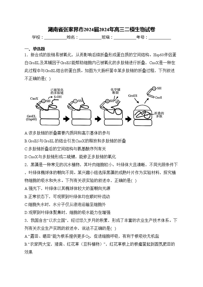 湖南省张家界市2024届2024年高三二模生物试卷(含答案)01