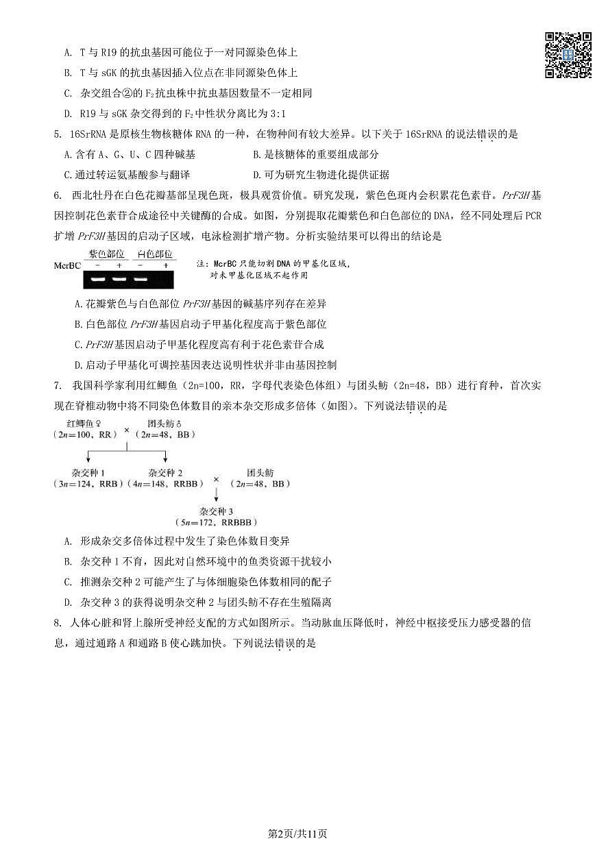 2024北京東城高三一模生物試卷及答案（教師版）第2頁