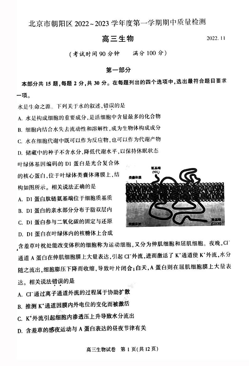 北京市朝阳区2022_2023学年度上学期期中质量检测高三生物试卷及答案01