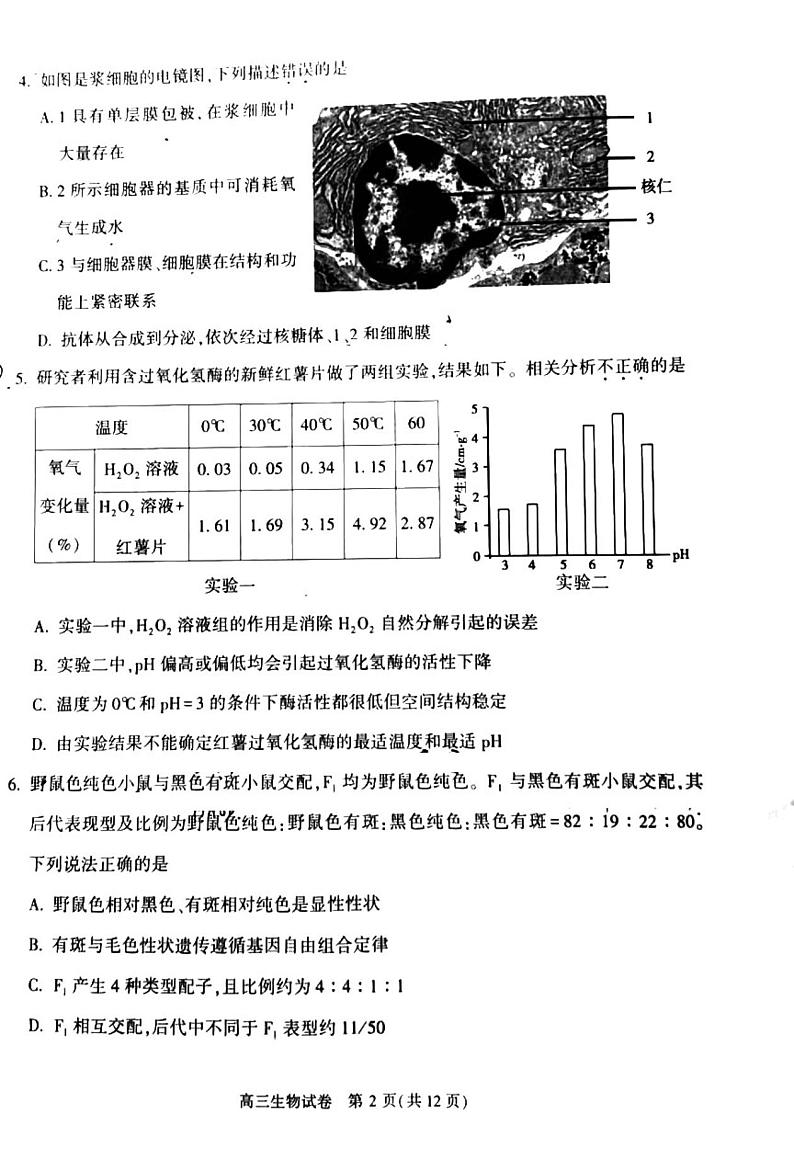 北京市朝阳区2022_2023学年度上学期期中质量检测高三生物试卷及答案02