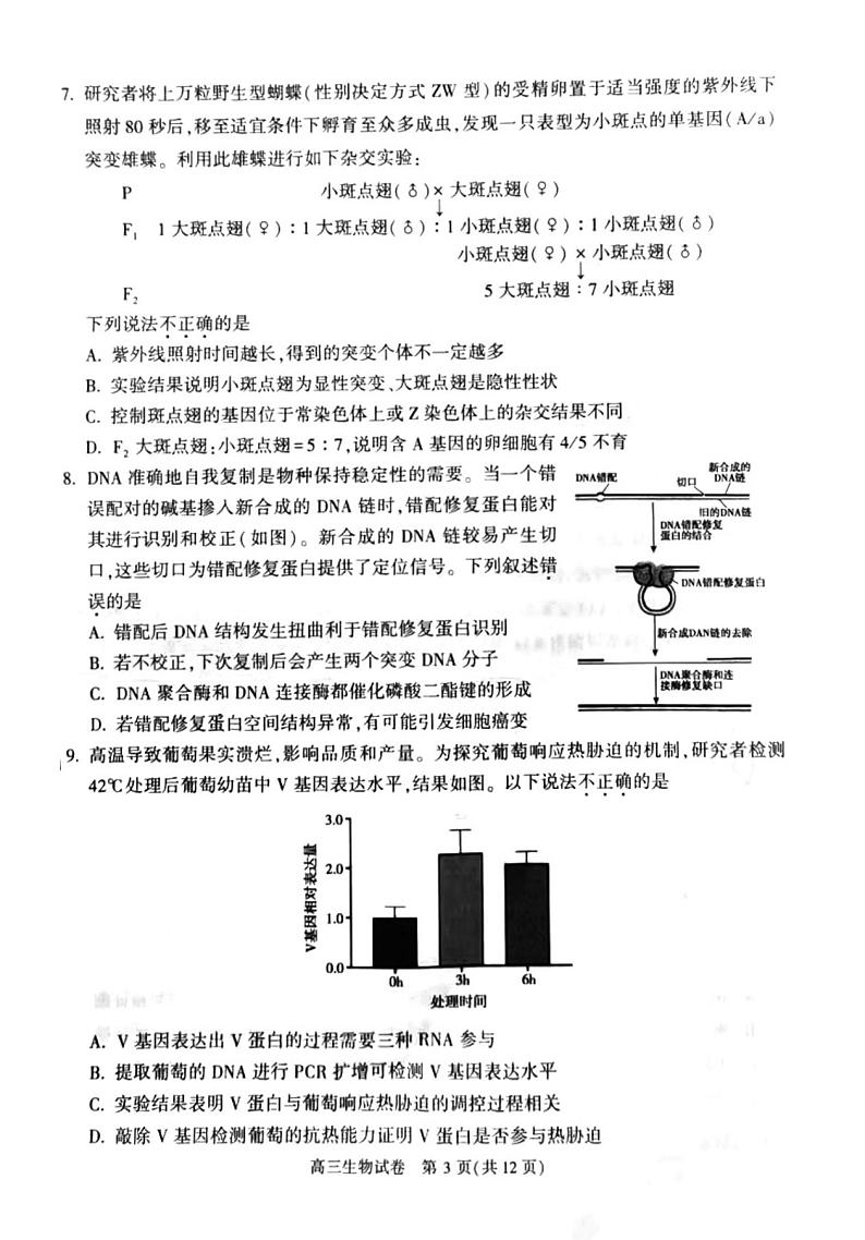 北京市朝阳区2022_2023学年度上学期期中质量检测高三生物试卷及答案03