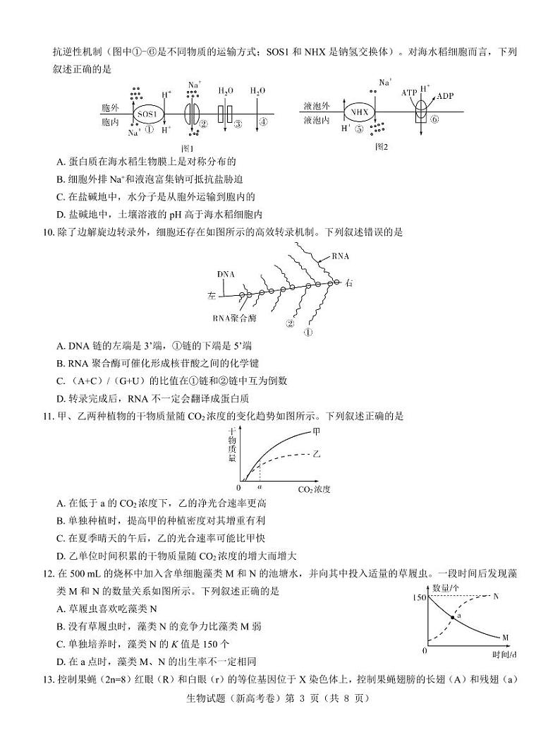 2024(新高考卷)名校教研联盟高三下学期4月联考试题生物PDF版含解析03
