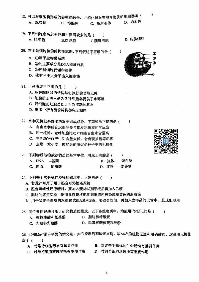 北京交大附中2023~2024学年上学期期中高一生物试卷第3页