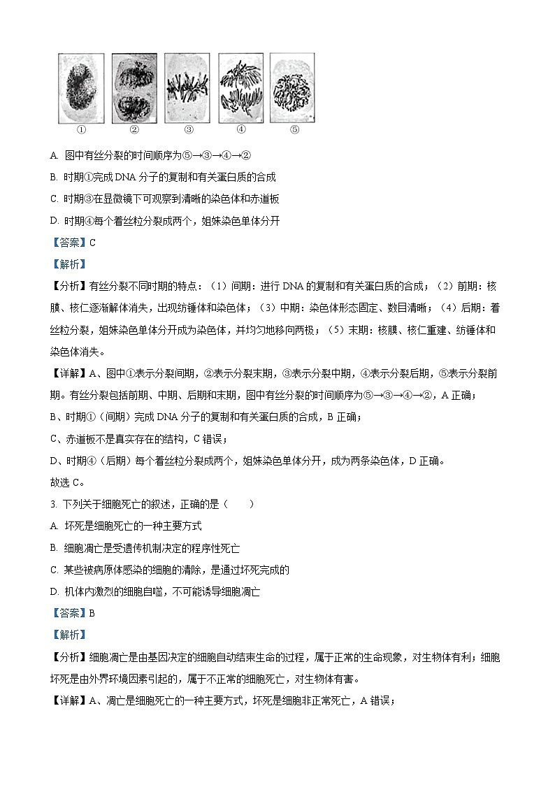 广东省佛山市S6高质量发展联盟2023-2024学年高一下学期期中联考生物试题(解析版)第2页
