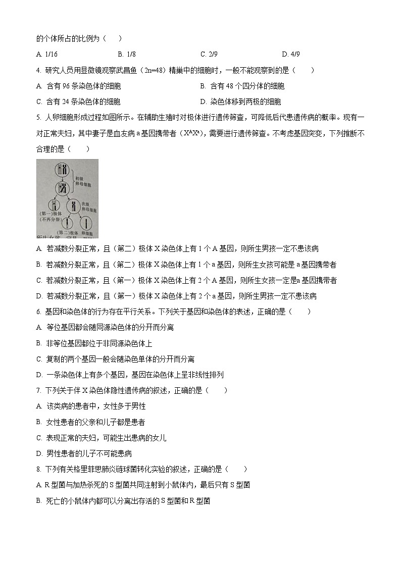 河北省邢台市2023-2024学年高一下学期期中考试生物试题(原卷版+解析版)02