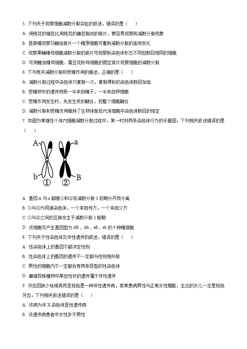 河北省沧州市运东四校2023-2024学年高一下学期4月期中生物试题(原卷版+解析版)02