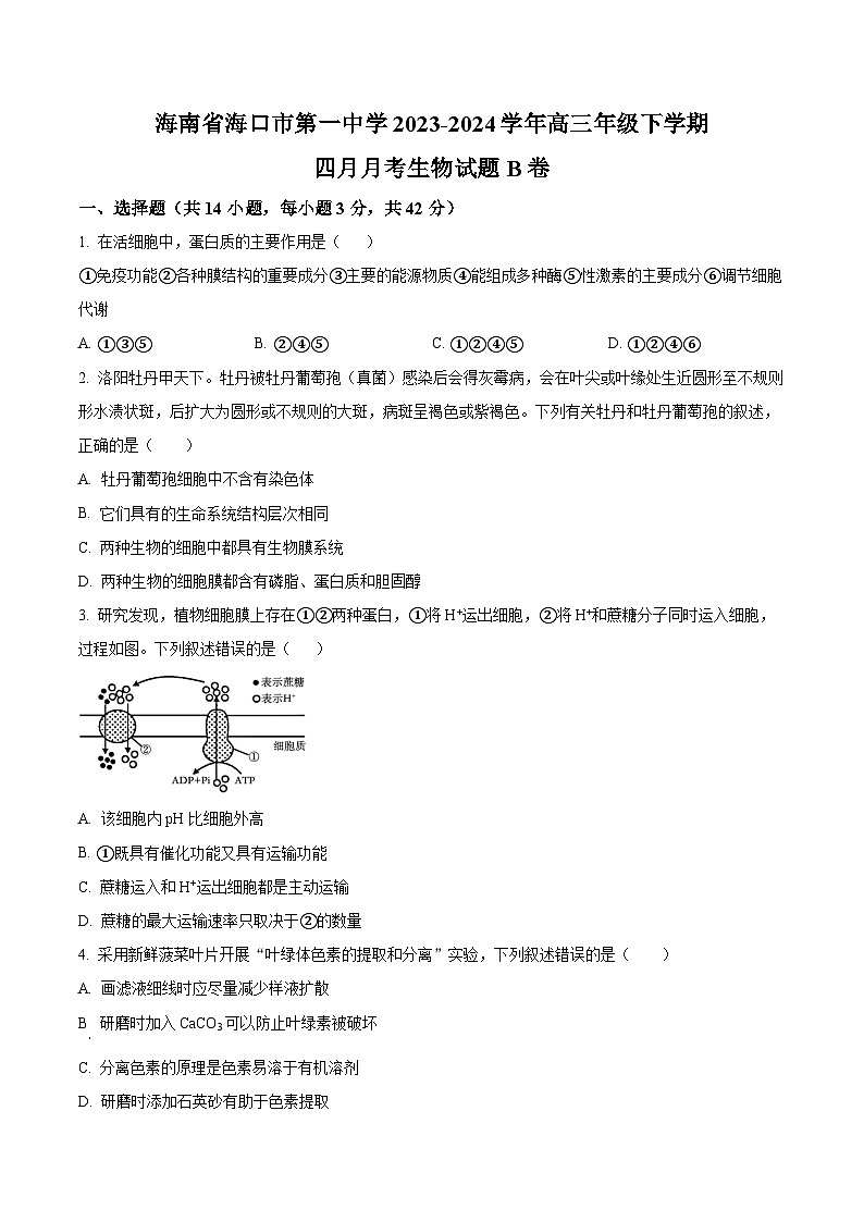 海南省海口市第一中学2023-2024学年高三年级下学期四月月考生物试题B卷(原卷版)第1页